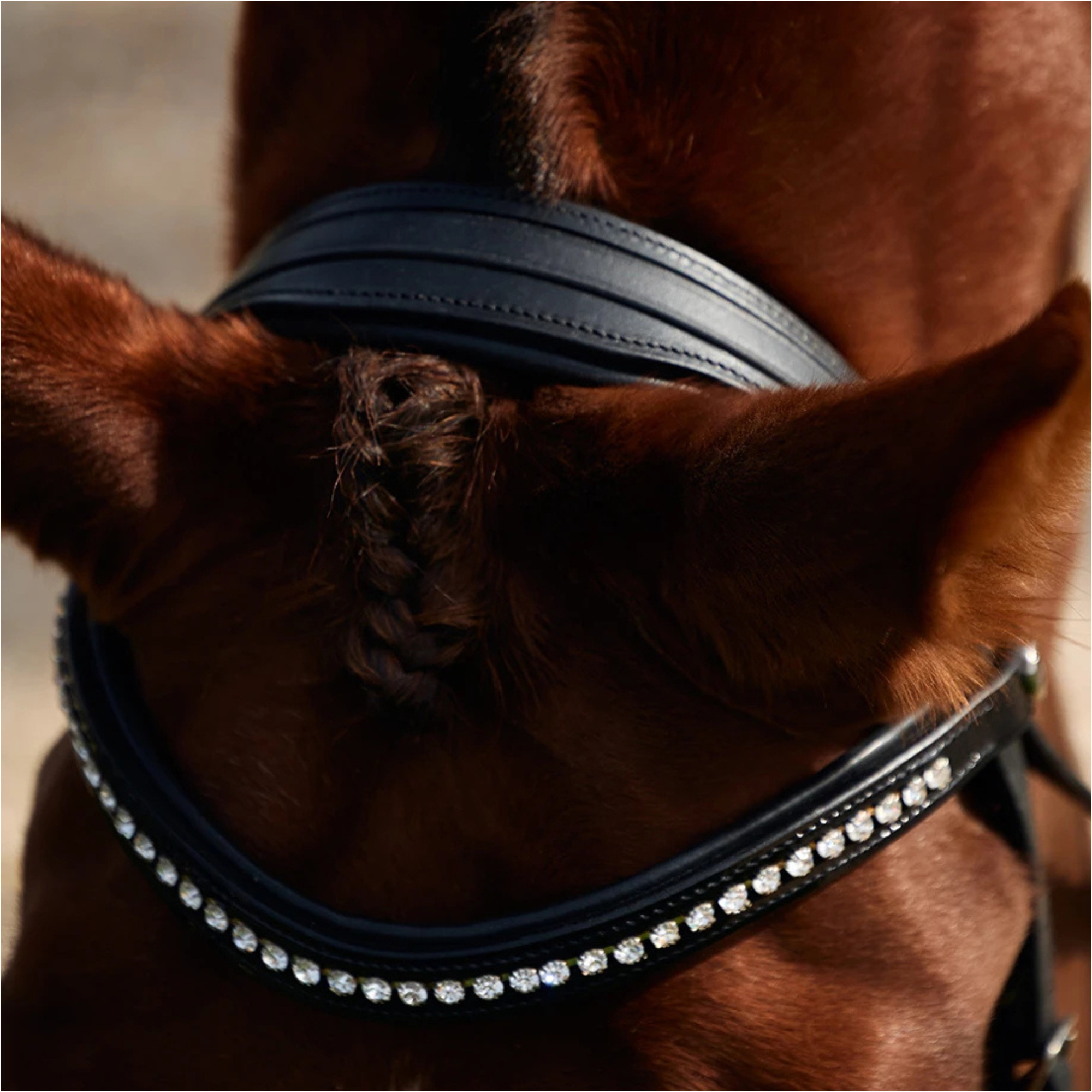 2026 Dublin Gevoerde Comfort Kroon Octrooi Flash Bridle 1031499 - Black